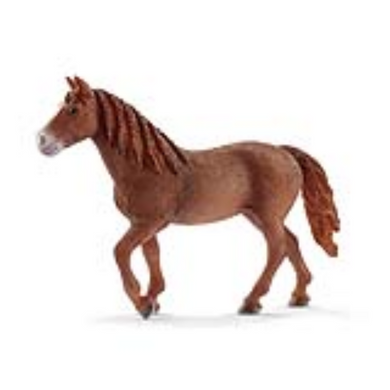Schleich 13870 Horse Club - Morgan Horse Stute