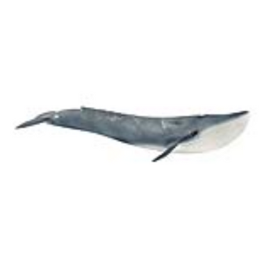 Schleich 14806 Wild Life - Blauwal