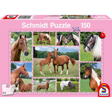 Schmidt Spiele 56269 Kinderpuzzle - # 150 - Pferdeträume