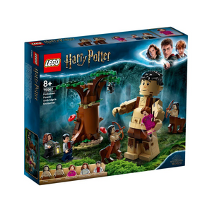 LEGO 75967 Harry Potter - Der verbotene Wald