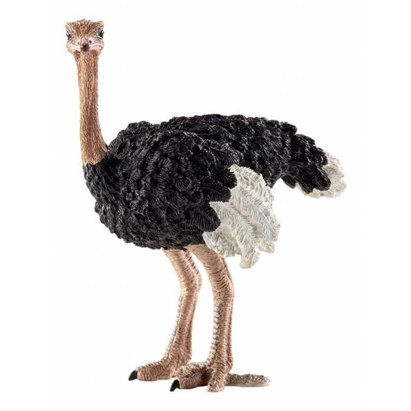 Schleich 14744 Wild Life - Strauß