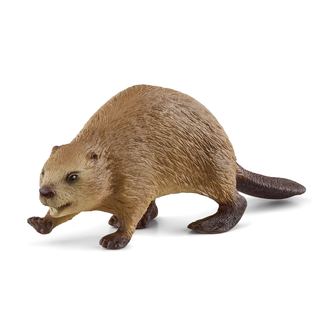 Schleich 14855 Wild Life - Biber