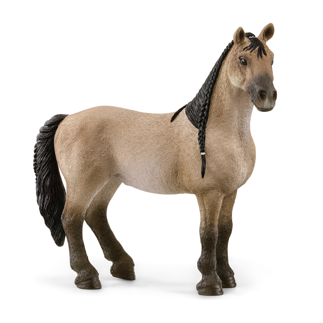 Schleich 13948 Horse Club - Criollo Definitivo Stute