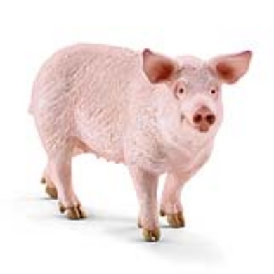 Schleich 13782 Schwein