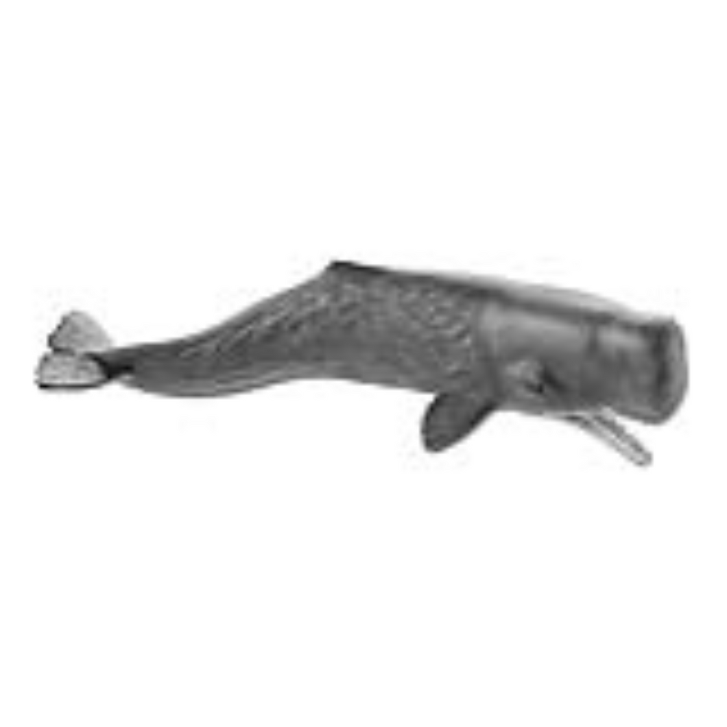 Schleich 14764 Wild Life - Pottwal