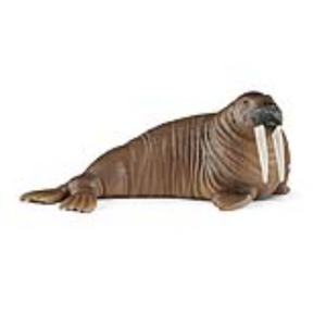 Schleich 14803 Wild Life - Walross