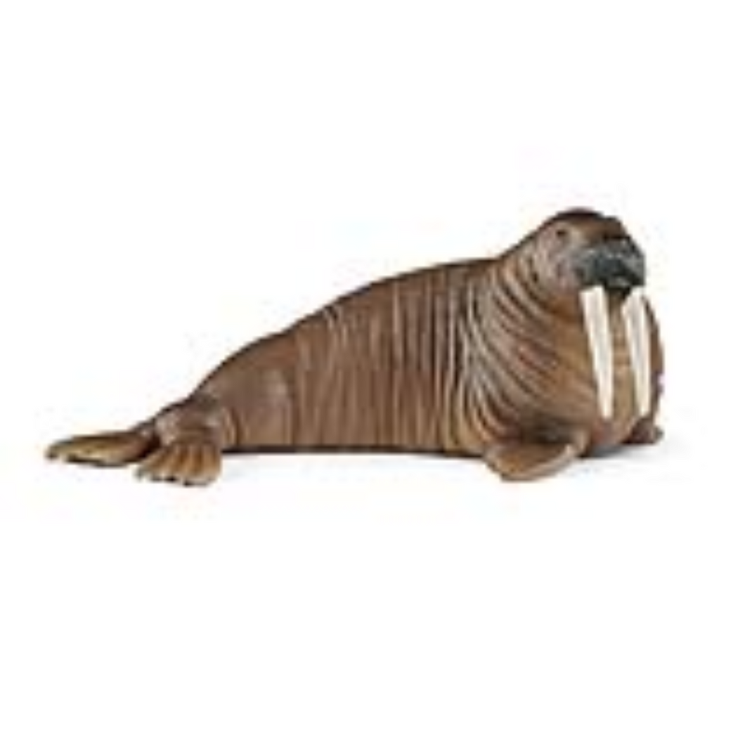 Schleich 14803 Wild Life - Walross