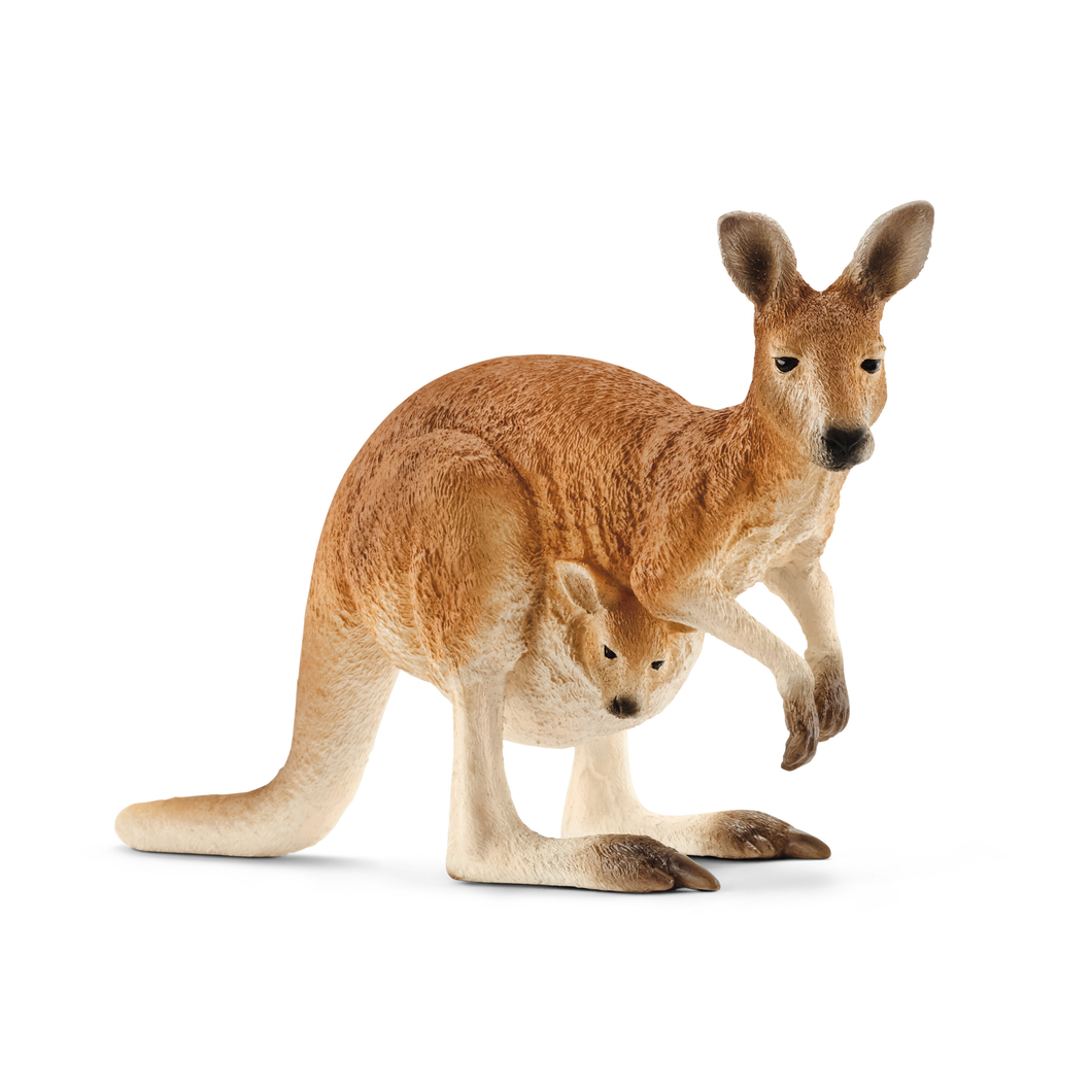 Schleich 14756 Wild Life - Känguru