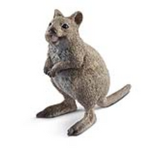 Schleich 14823 Wild Life - Quokka