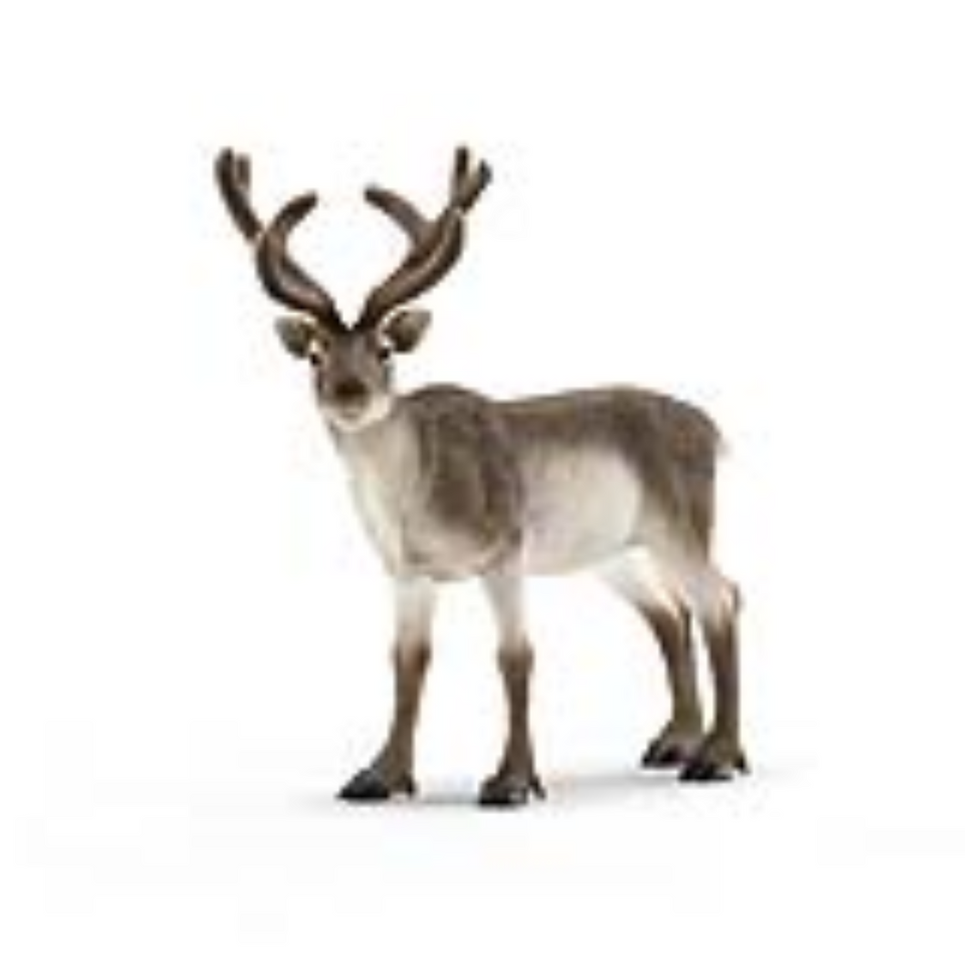 Schleich 14837 Wild Life - Rentier