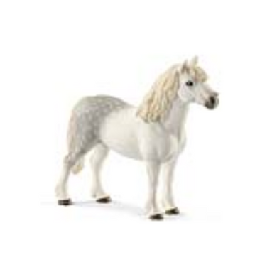 Schleich 13871 Horse Club - Welsh-Pony Hengst