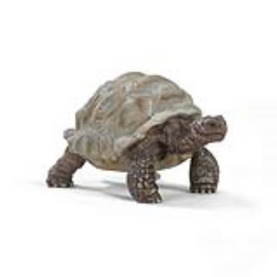 Schleich 14824 Wild Life - Riesenschildkröte
