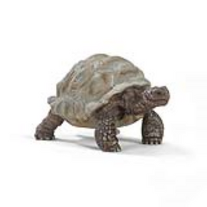 Schleich 14824 Wild Life - Riesenschildkröte
