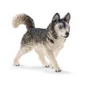 Schleich 16835 Husky
