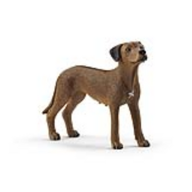 Schleich 13895 Farm World - Rhodesian Ridgeback