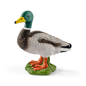 Schleich 13824 Erpel