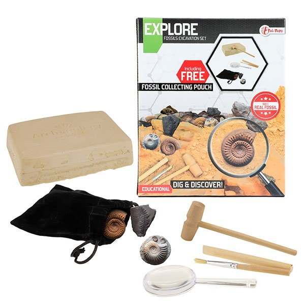 Toi-toys 35957A Mitbringsel - Explore - Ausgrabungsset Fossil - mit Lupe und Zubehör