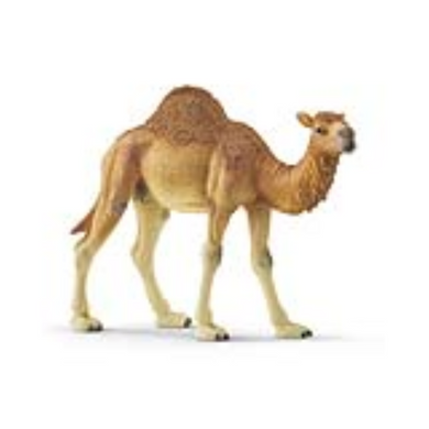 Schleich 14832 Wild Life - Dromedar