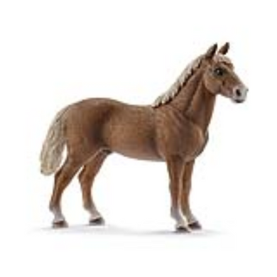 Schleich 13869 Horse Club - Morgan Horse Hengst