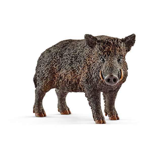 Schleich 14783 Wild Life - Wildschwein